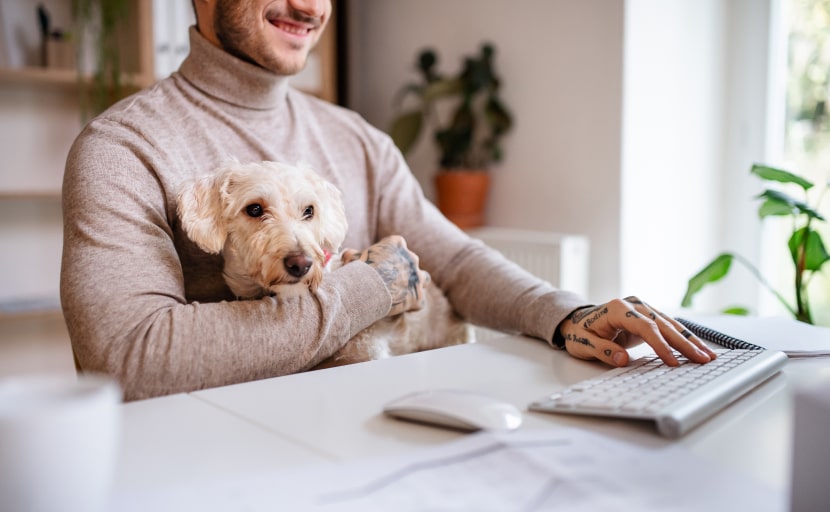 Ein Mitarbeiter sitzt mit seinem Hund im Büro.