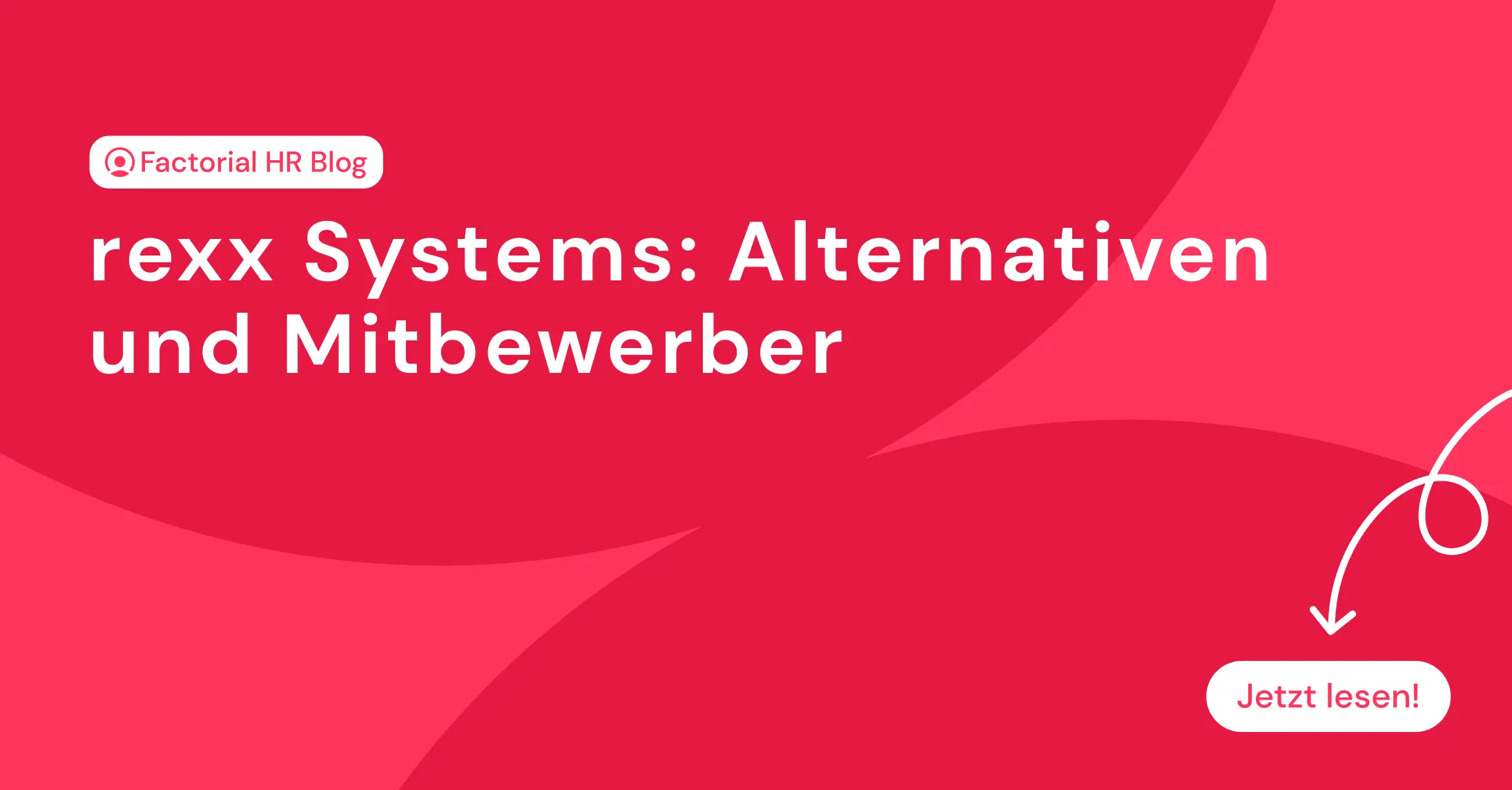 rexx Systems Alternativen und Mitbewerber