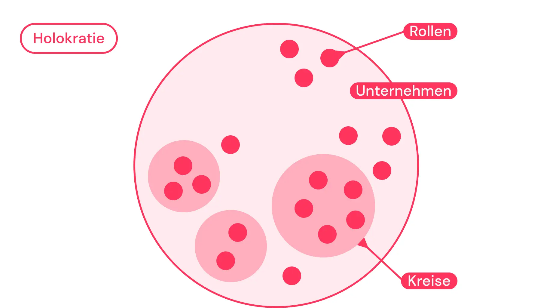 holokratie grafik