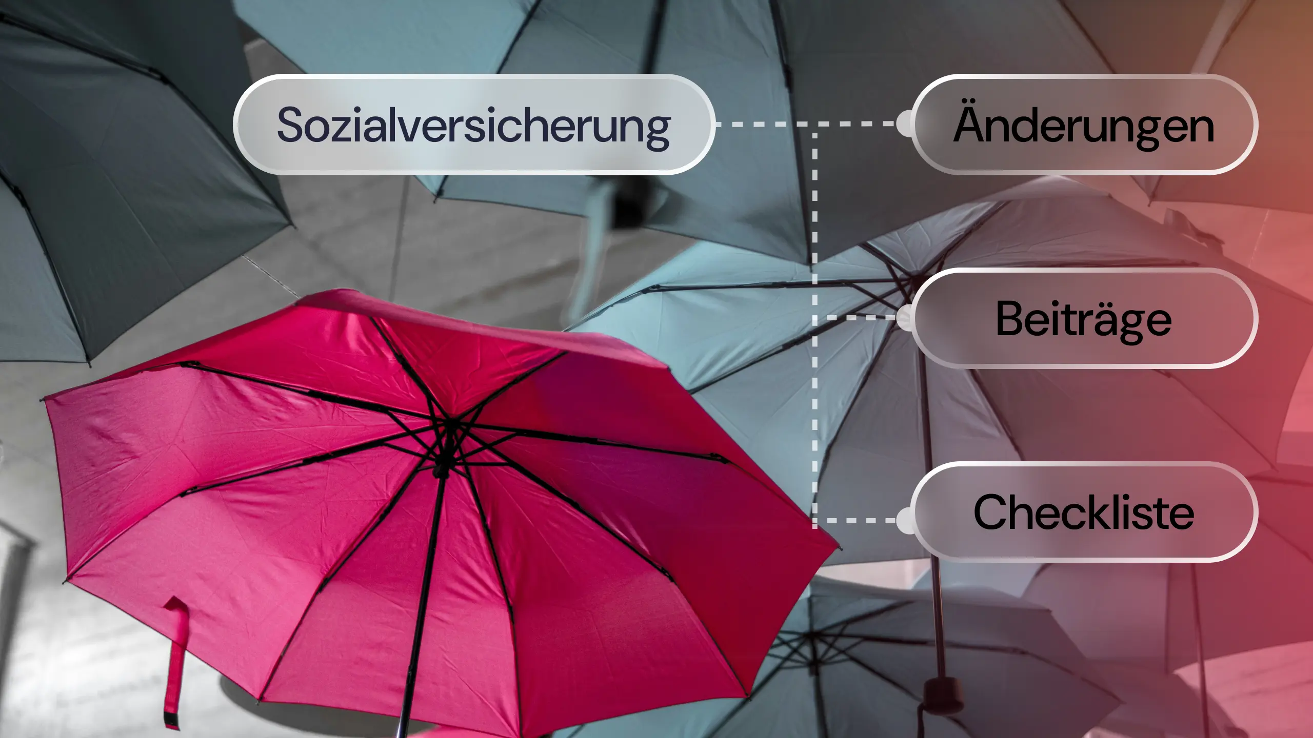 Sozialversicherung