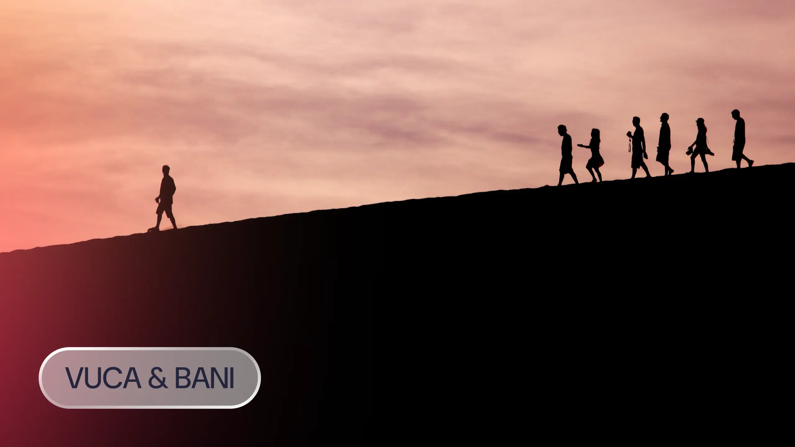 vuca und bani