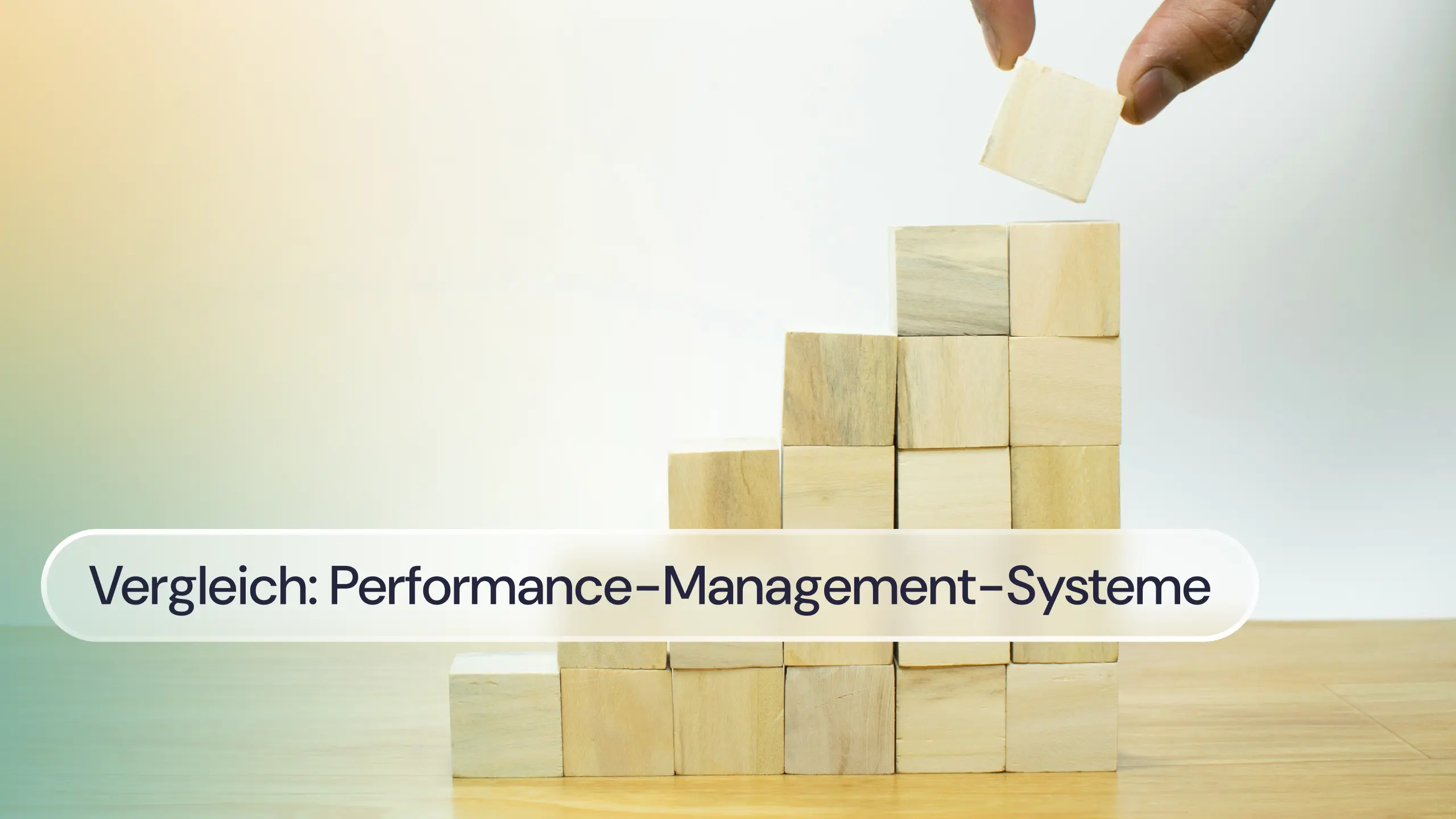 Performance Management Systeme